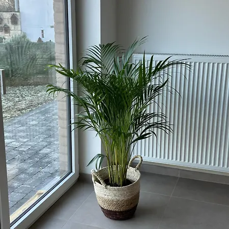 Neuf 2 Pour 4 Personnes Mons