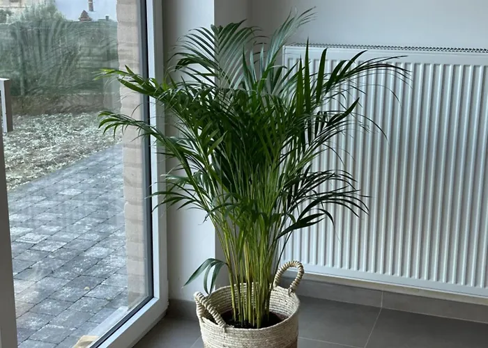 Neuf 2 Pour 4 Personnes Mons